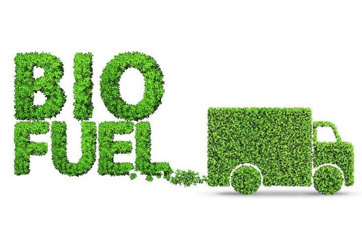 Explore Bio Fuels and Their Role in Clean Energy